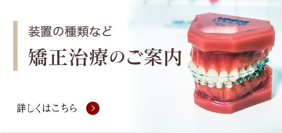 札幌市の矯正歯科　円山さくらぎ矯正歯科　矯正治療・歯列矯正のご案内